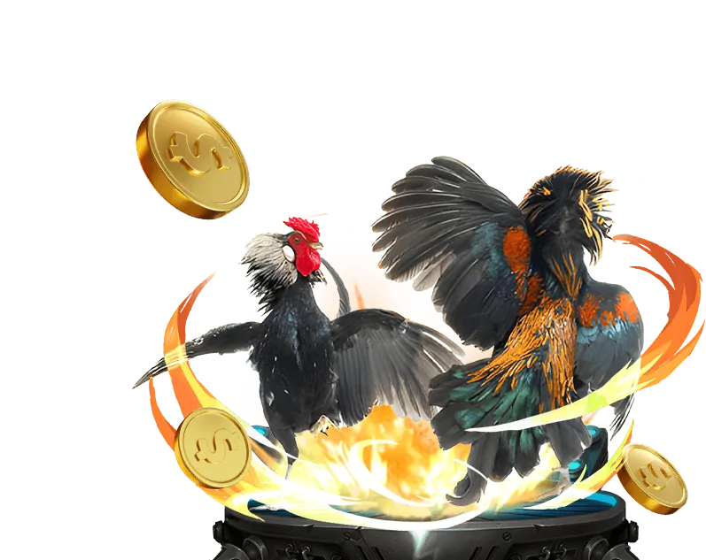 Hoàn trả cược Đa Ga 68